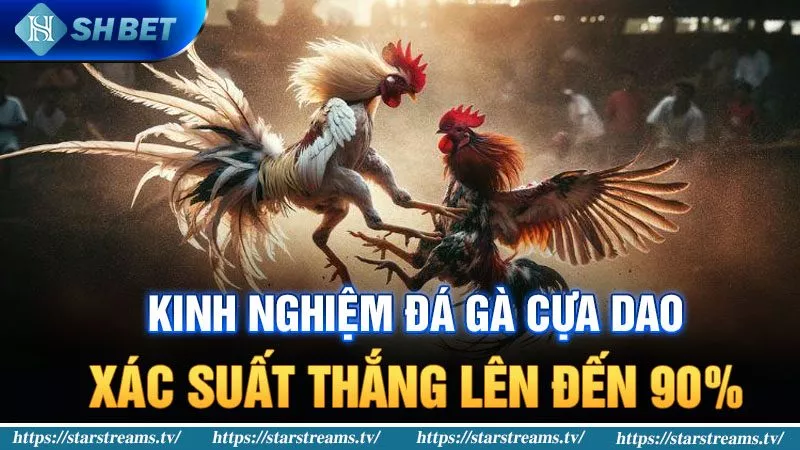 Đánh giá tổng thể của trang web chơi game trực tuyến cấp độ Ue9 - Ue9