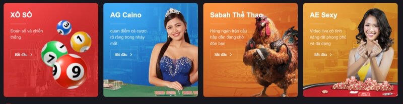 Cá cược trực tiếp trên nền tảng Ricwin - Ricwin