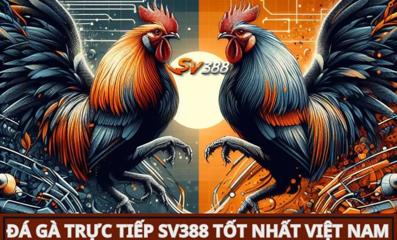 Những điều cần biết khi đăng nhập vào Subet bằng điện thoại di động - Subet