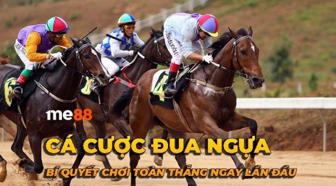 Đăng ký tài khoản cá cược với một công ty cá cược uy tín được xếp hạng Luxvaip - Luxvaip