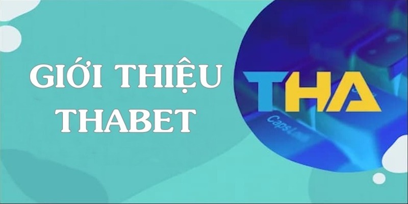 Câu hỏi thường gặp – Giải đáp thắc mắc của người chơi về các sòng bạc trực tuyến được xếp hạng Vn68 - Vn68