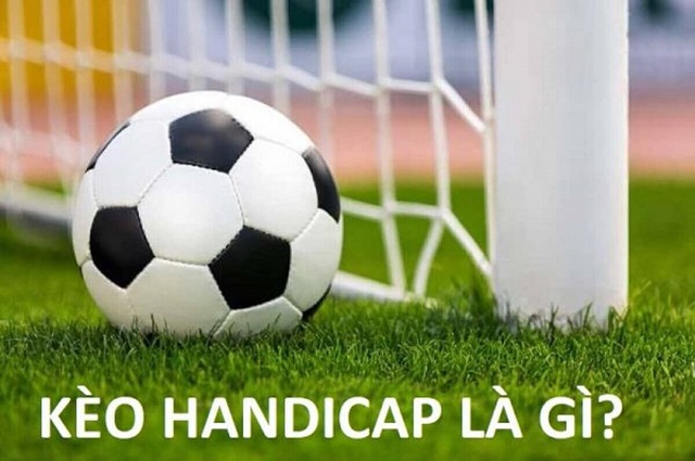 Ho88 Gaming cung cấp các dịch vụ cá cược hấp dẫn nhất - Ho88