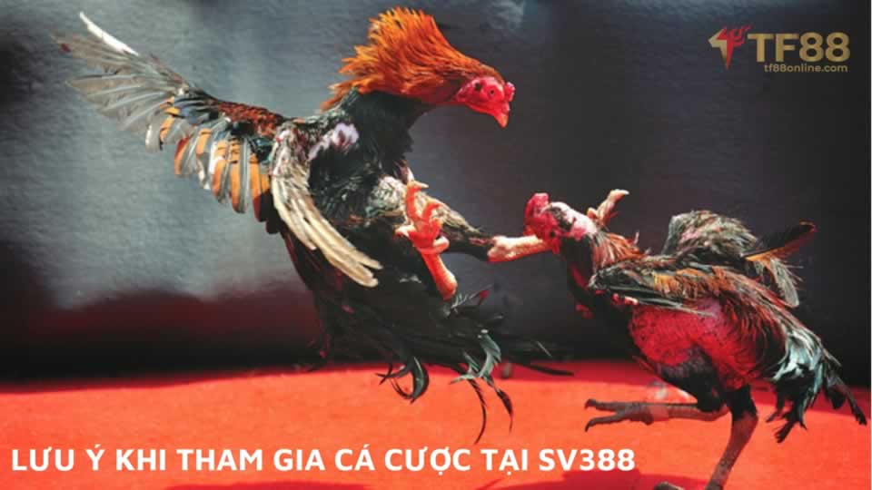 Thành viên 79King được hưởng các ưu đãi và khuyến mãi đặc biệt - 79King
