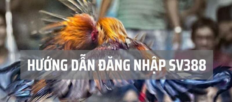Thông tin liên hệ và hỗ trợ khách hàng của Fb68 - Fb68
