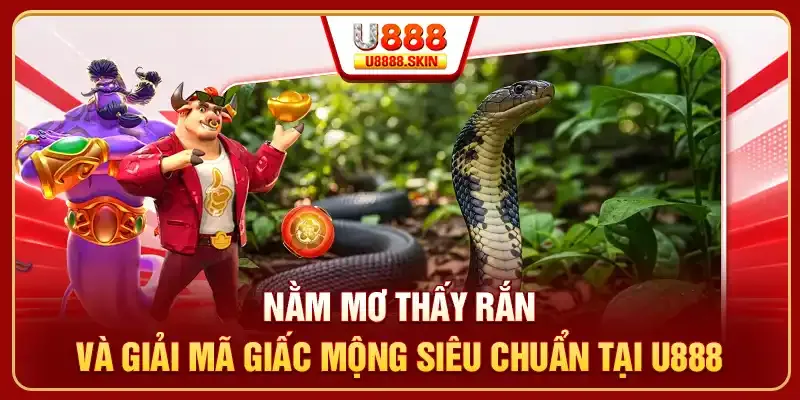 Phí rút tiền Fic88 - Fic88
