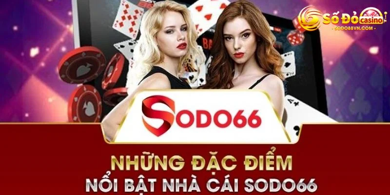 Tổng quan về chương trình hoàn phí bảo trì Sbty - Sbty