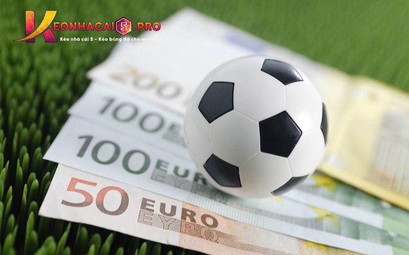 Câu hỏi thường gặp về các trận đấu bóng đá cấp độ Fabet - Fabet