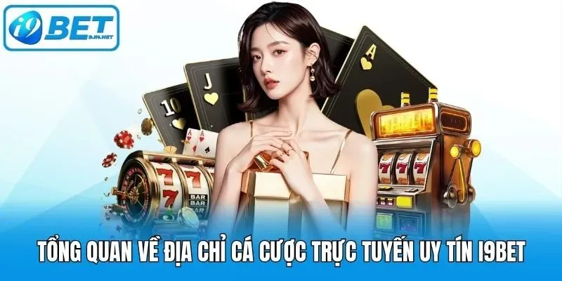 Nền tảng vận hành hệ thống cá cược Vn888 - Vn888