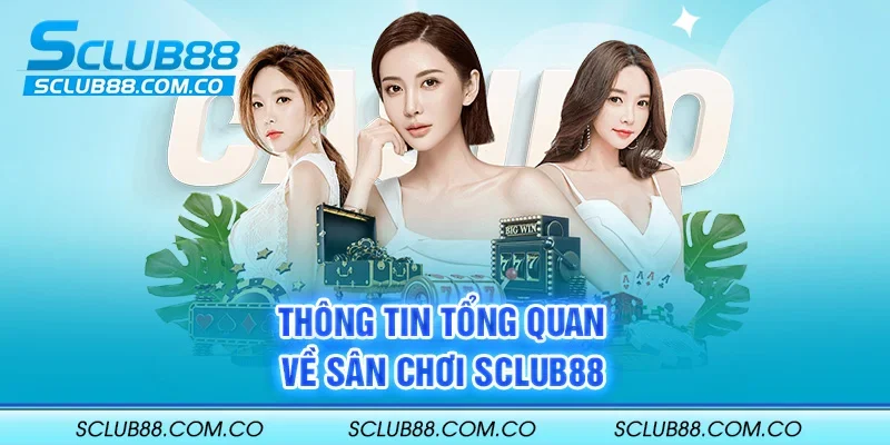 Theo các phương pháp phân tích xổ số truyền thống, kết quả xổ số của công ty cá cược Gnbet - Gnbet